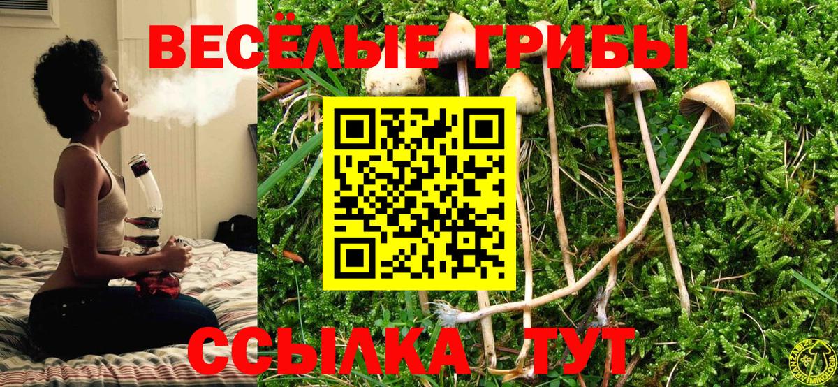 Псилоцибиновые грибы Cubensis Краснокаменск